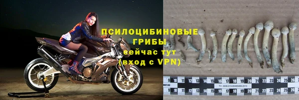 дурь Аркадак