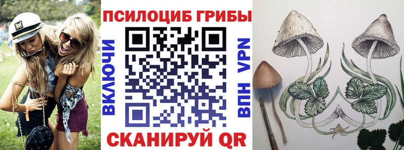 Галлюциногенные грибы GOLDEN TEACHER  Устюжна 